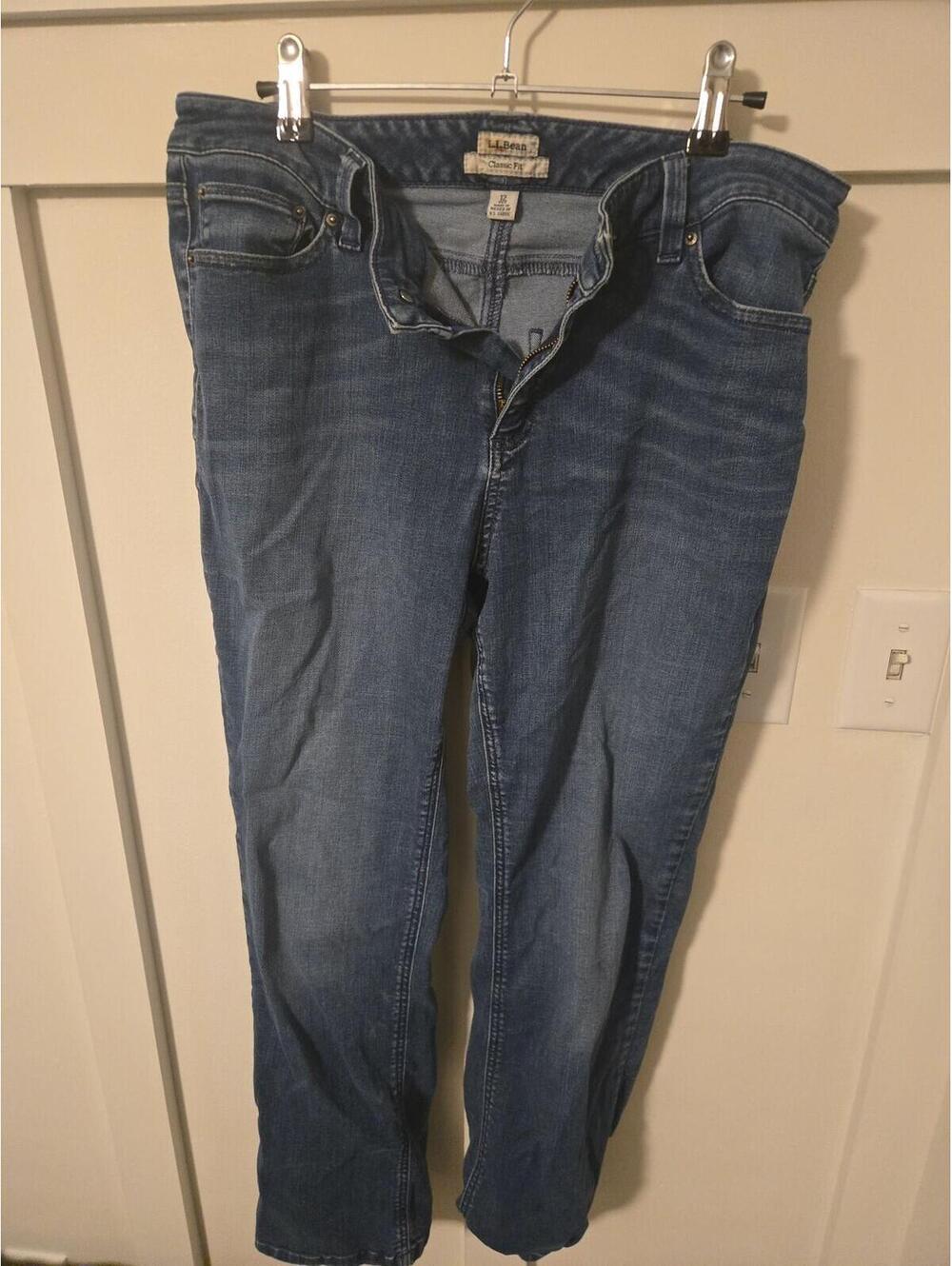 L.L. Bean Classic Fit Blue Denim Jeans - Women's Size 12 Petite